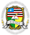 Uema logo